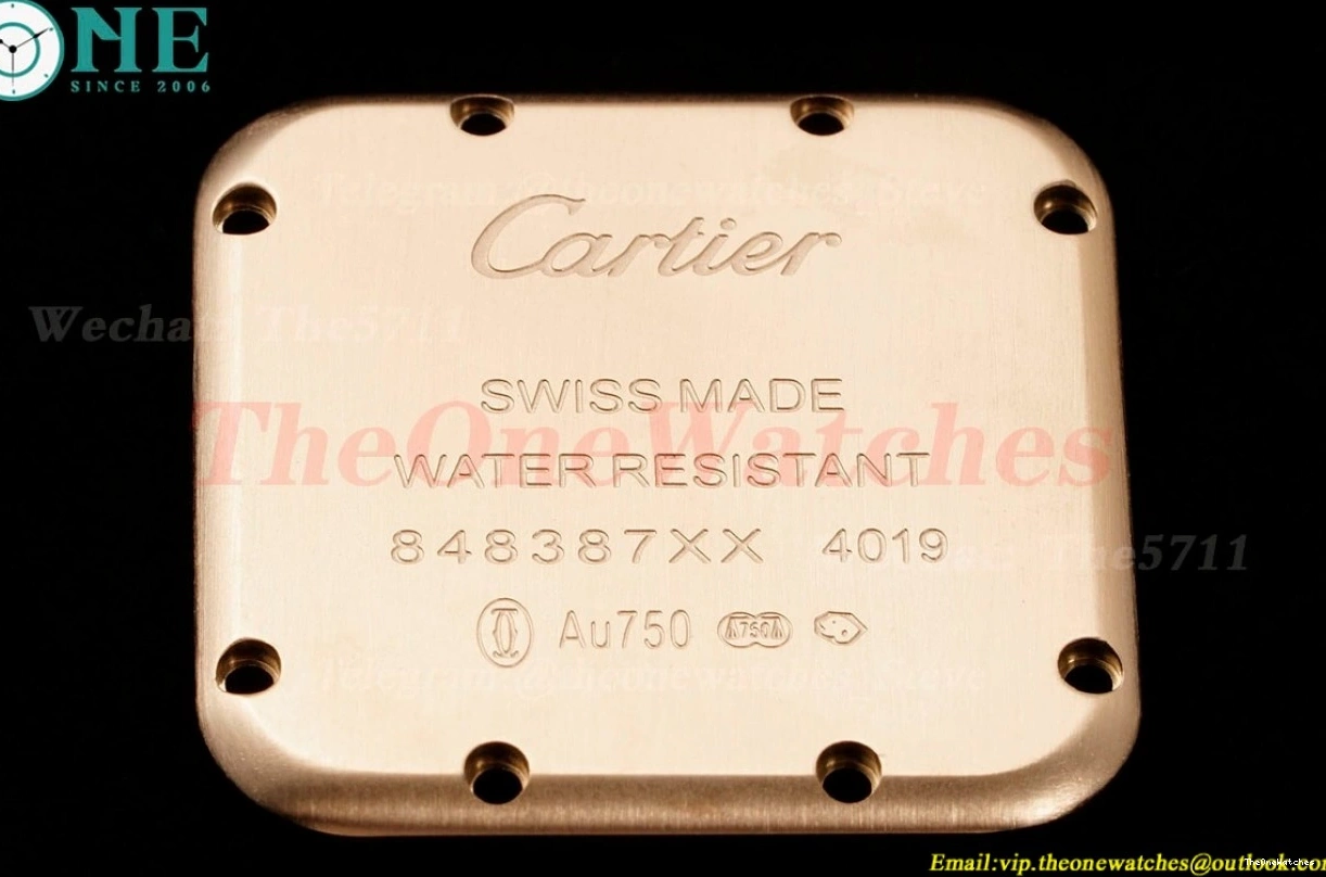 Secrete RG Ladies De RG Quartz Panthere Dial AF 27mm Mop 0123